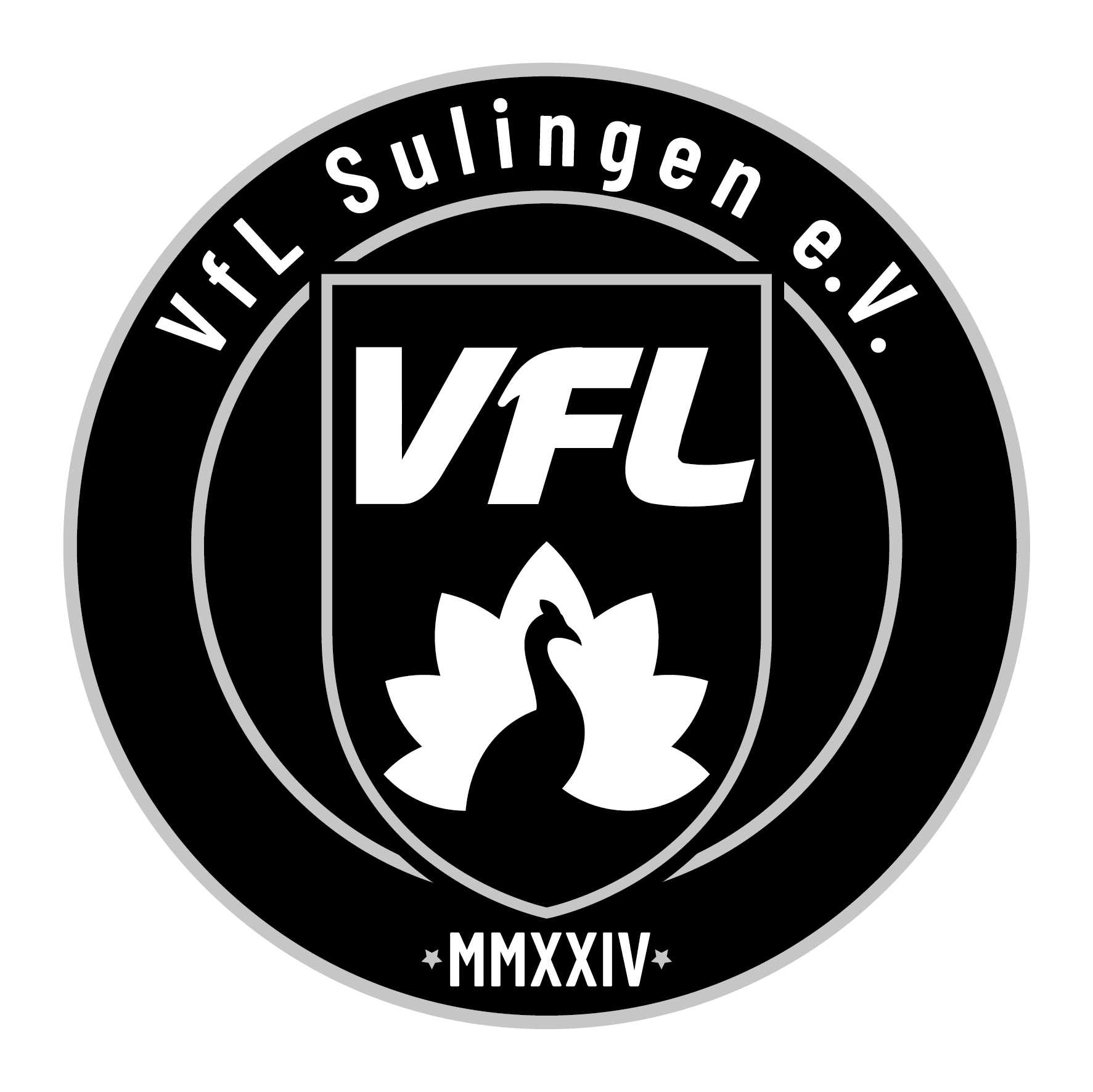 VfL Sulingen e.V.